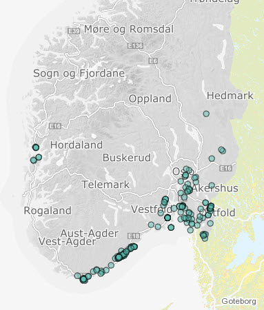 Gulflekktorvlibelle i felt