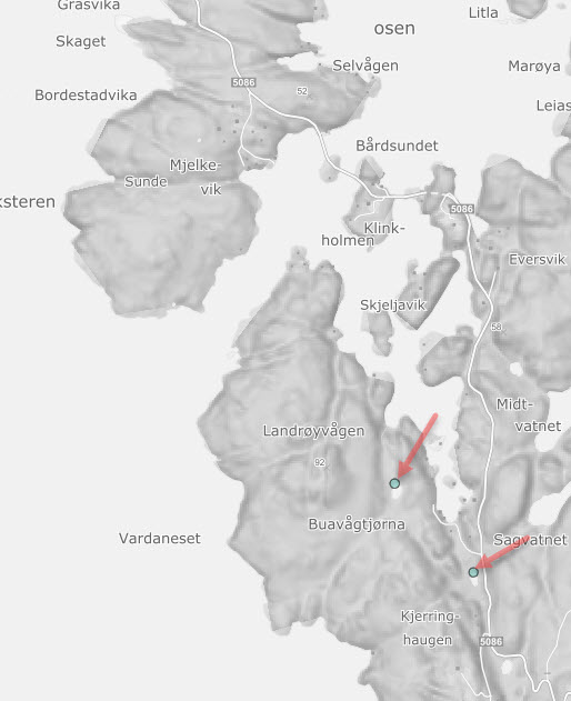 Gulflekktorvlibelle ved vann