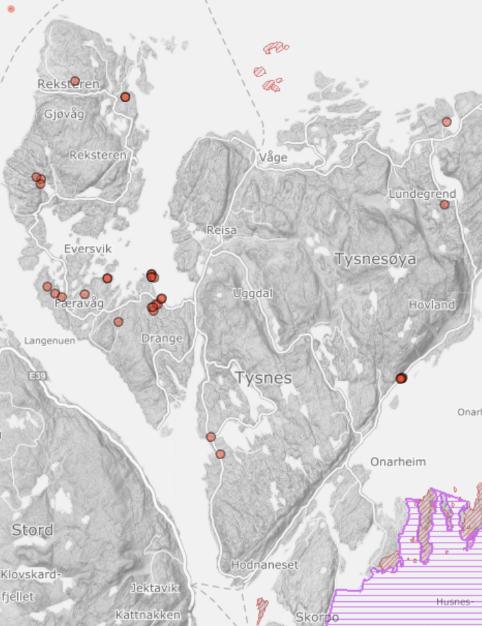 Stjerneflekklav på bark