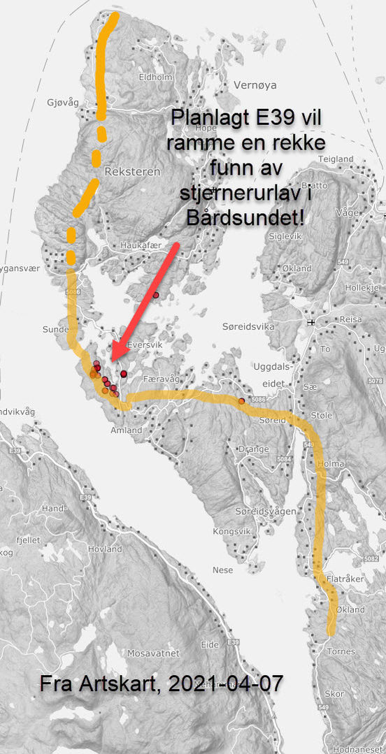 Planlagt trase og sårbar forekomst